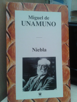 NIEBLA