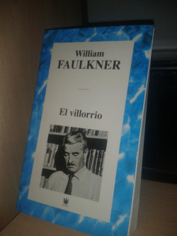 EL VILLORRIO