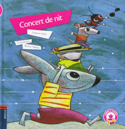 Concert de nit