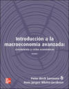 Introducción a la Macroeconomía Avanzada, Vol. I