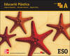 (VAL).(09).EDUCACIO PLASTICA (MOSAIC A) (C.VALENCIANA)