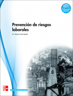 (10).(G.M).PREVENCION DE RIESGOS (PCPI)
