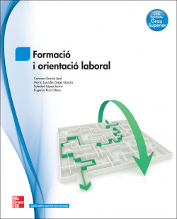 formacio i orientacio laboral.grau superior
