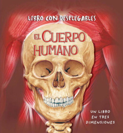 El cuerpo humano
