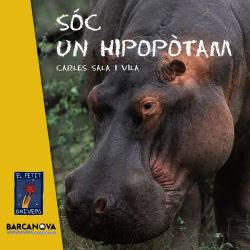 Sóc un hipopòtam