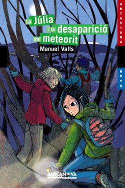 LA Júlia i la desaparició del meteorit