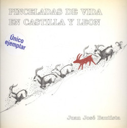 Pinceladas de vida en Castilla y León.
