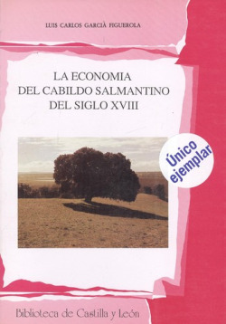 La economía del cabildo salmantino del siglo 18