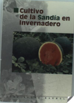 CULTIVO DE LA SANDIA EN INVERNADERO