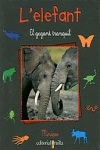 L'elefant