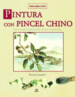 Pintura con Pincel Chino