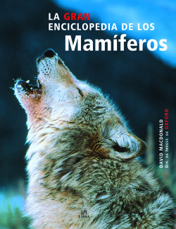 Mamimeros