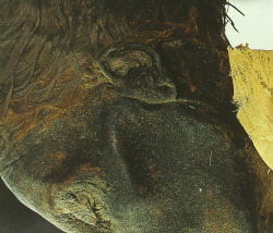 Momias reales.inmortalidad en antiguo egipto