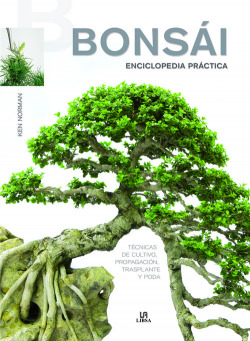 Bonsái. Enciclopedia práctica
