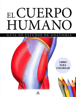 El Cuerpo Humano