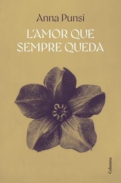 L'amor que sempre queda