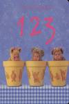 123