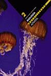 BIOLOGIA 2O.LOGSE -EN ESPAÑOL-
