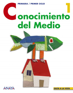 CONOCIMIENTO 1ºPRIM.(SALTA A LA VISTA)