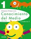 CUAD.CONOCIMIENTO 3-1ºPRIMARIA (UNA A UNA)