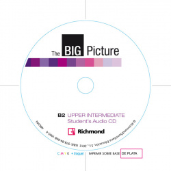 Big Picture 4 Wb+Cd [B2] Upper-Intermediate