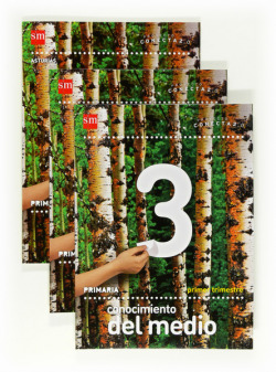CONOCIMIENTO 3ºPRIM. TRIMESTRAL ASTURIAS CONECTA 2.0