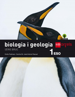 Biologia i geologia 1R ESO Saba