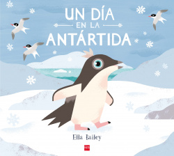 Un día en la antartida