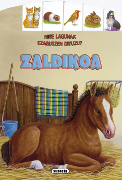 Zaldikoa