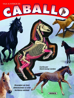 Caballo (Viaja al interior de)
