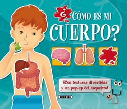 ¿Cómo es el cuerpo humano?