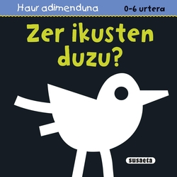 Zer ikusten duzu?