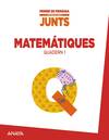 Aprendre Es Creixer Junts. Quadern De Matematiqu