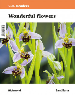 CLIL READERS NIV I WONDERFUL FLOWER ED21