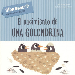 EL NACIMIENTO DE UNA GOLONDRINA