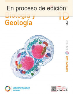 ESO1 BIOLOGÍA Y GEOLOGÍA 1 C. DIVERSIDAD COMUNIDAD