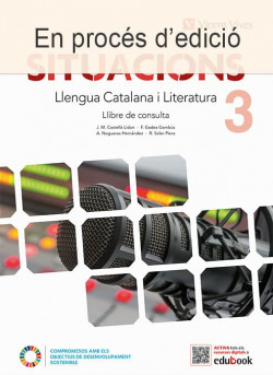 ESO3 CAT SITUACIONS LLENGUA CATALANA I LIT. 3 LLIB