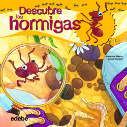 Descubre las hormigas