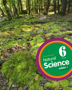 Natural science 6º primaria