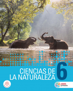CIENCIAS DE LA NATURALEZA 6ºPRIMARIA 2019