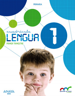 LENGUA 1º PRIMARIA CUADRICULA CASTILLA LEON