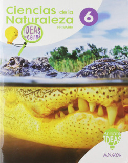 CIENCIAS DE LA NATURALEZA 6ºPRIMARIA. IDEAS DE CERCA. BRILLIANT IDEAS 2019