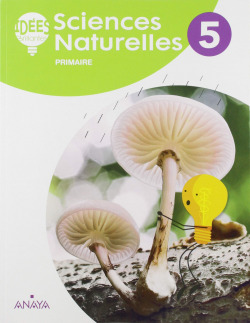 SCIENCES NATURELLES 5. IDEÈS BRILLANTES. ANDALUCÍA 2019