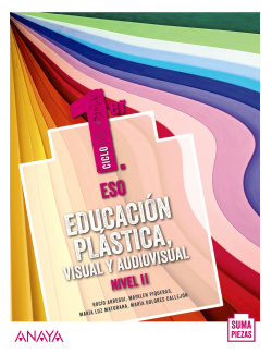 Educación Plástica, Visual y Audiovisual. Nivel II. (Opción no fungible)