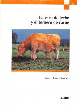 LA VACA DE LECHE Y EL TERNERO DE CARNE