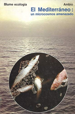 EL MEDITERRANEO