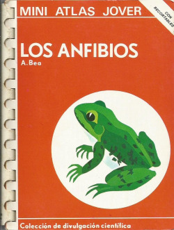 ANFIBIOS, LOS
