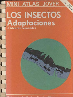 INSECTOS, ADAPTACIONES, LOS