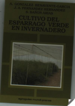 CULTIVO DEL ESPARRAGO VERDE EN INVERNADERO