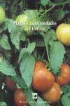 Plagas y enfermedades del tomate